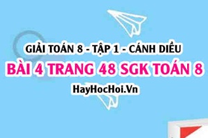 Giải bài 4 trang 48 Toán 8 Tập 1 SGK Cánh Diều